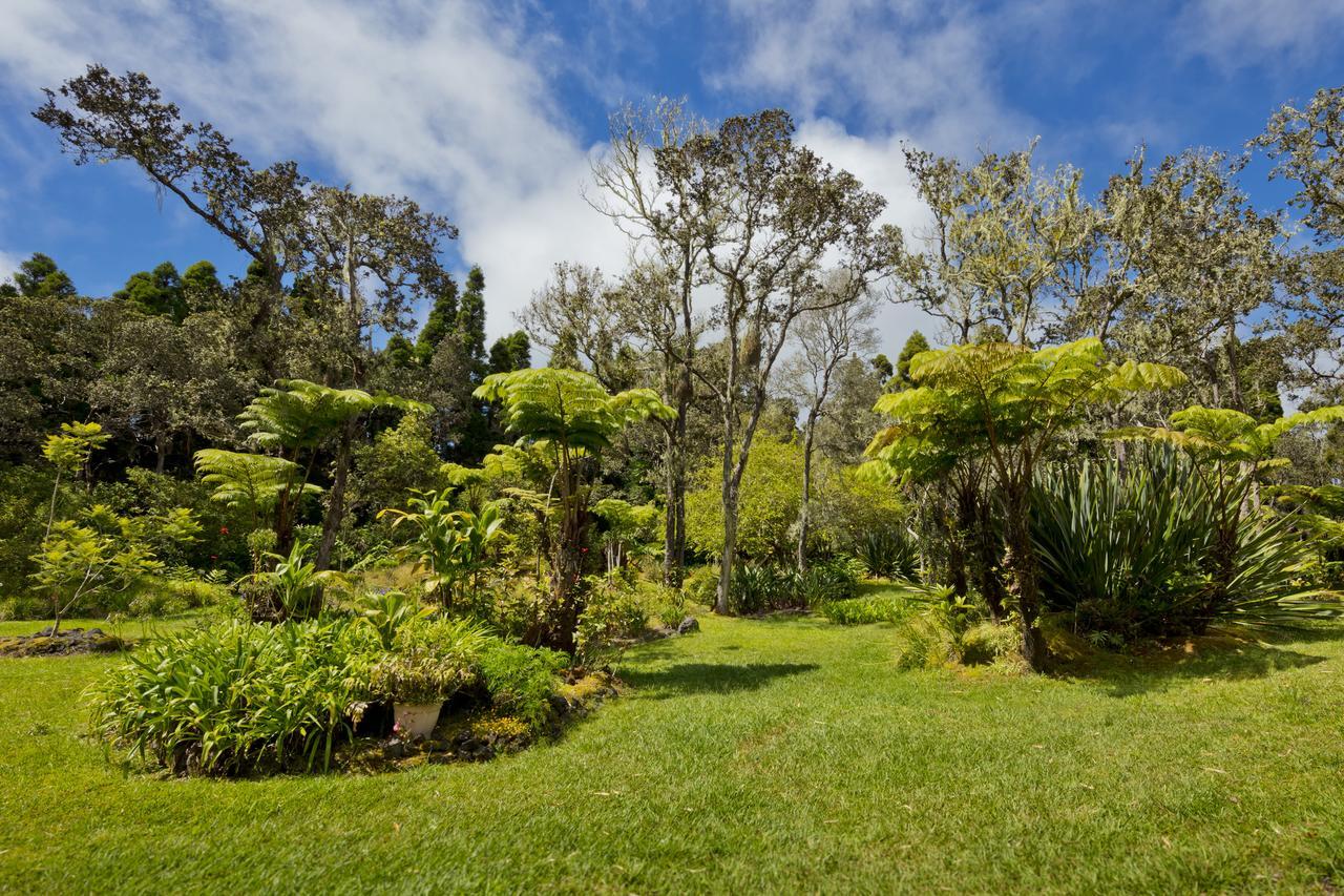 Hale 'Ohu Bed & Breakfast Volcano Exteriör bild