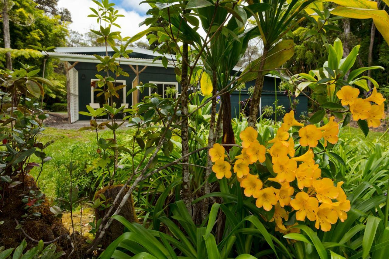 Hale 'Ohu Bed & Breakfast Volcano Exteriör bild
